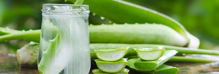 bienfaits de d Aloe Vera sur la sante