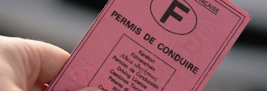 permis de conduire en ligne