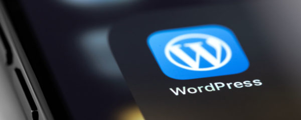 formation WordPress